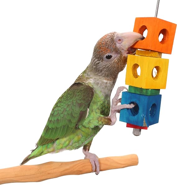 Traffic Light - Small Parrot Toy