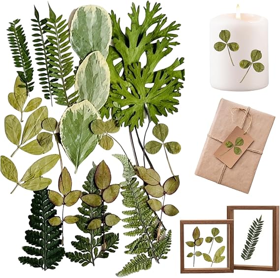 Real Dried Pressed Leaves, 21PCS Natural Dried Leaf, 7 Styles