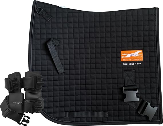 Equicore Concepts Complete Equiband System, Large size, oversize horse