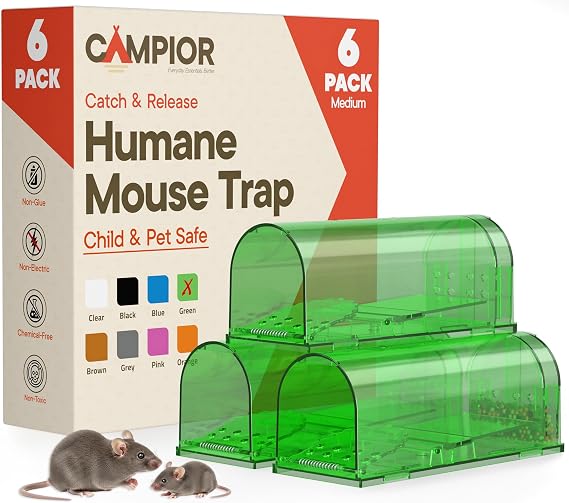 Campior Humane Mouse Trap Pack of 6, Live Mouse Traps Catch and Release for Indoors & Outdoors, Pet & Child Safe, 6.69" Reusable Plastic Mouse Cage with Spring Door, Cleaning Brush Included, Green