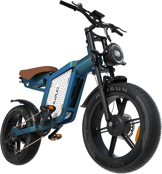 Electric Bike,1500W Motor Electric Bike for Adults with 48V 23Ah Battery,31MPH 120 Miles, 20" x 4.0 Electric Dirt Bike,7-Speed Off Road ebike UL Certified for for Mountains, Snow, Sand