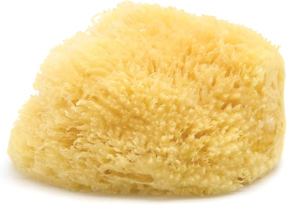 Neptune Caribbean Sea Sponge, XXL, Approx. 8-9 in, Exfoliating