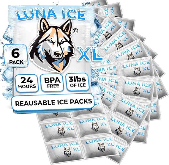 Dry Ice Packs for Shipping XL - Long Lasting ice Packs - 24+ Hour Freeze Power - BPA Free - 6 Pack Bulk 3 lb Hielo Seco - Reusable Gel Bricks for Food