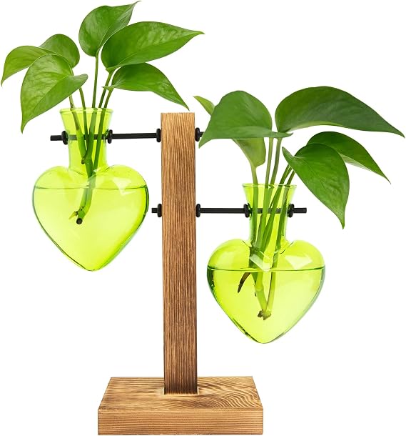 FLOWER Plant Propagation Station Terrarium 2 Green Heart Shaped Vase
