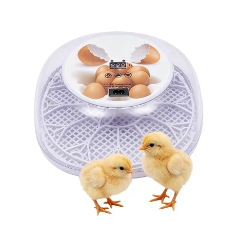 Digital 12 Egg Incubator, Incubator for Eggs Automatic Turning
