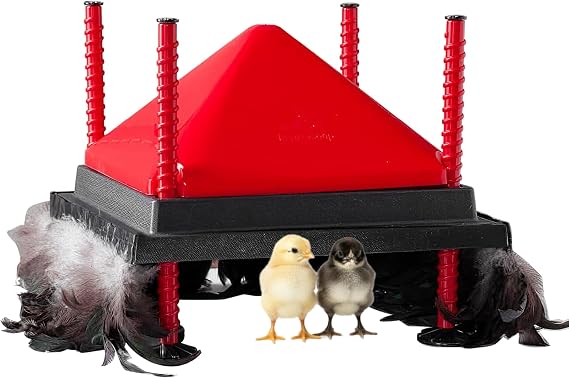 RentACoop 12x12 Adjustable Heating Plate with Hard Anti-Roost Cone Set