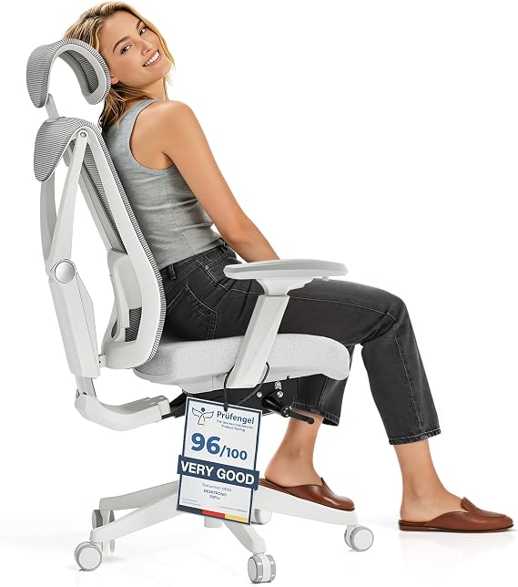 Desktronic Adjustable Ergonomic Office Desk Chair with lumbar support - Back-friendly/Back Pain-free - Computer Chair Height-Adjustable & Back-Protecting -Wide cushion SitPro (Gray)