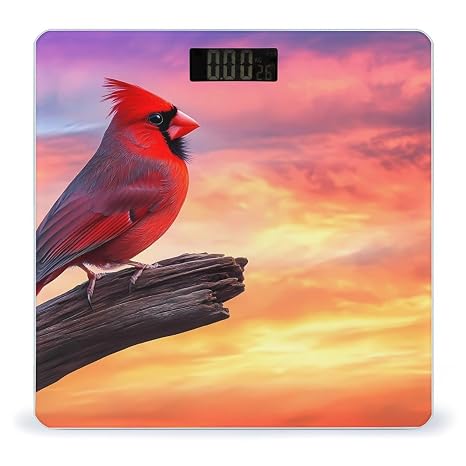 Cardinal Cute Bird Morning Bathroom Scales for Body Weight Led Display Step-On Digital Weighing Scales for People