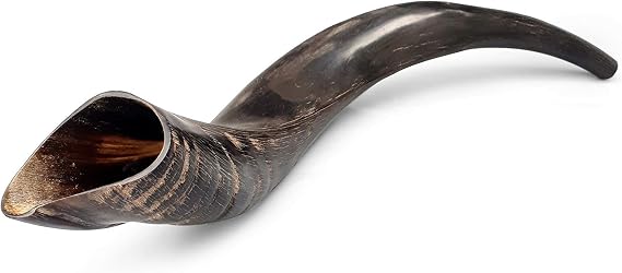 Amen Judaica Small Kudu Horn Shofar Half Polished 16-19 Inch