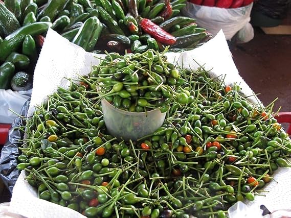 Chile Pequin Peppers - Tiny brilliantly red Chile Peppers - They Pack a Punch!! (100 - Seeds)