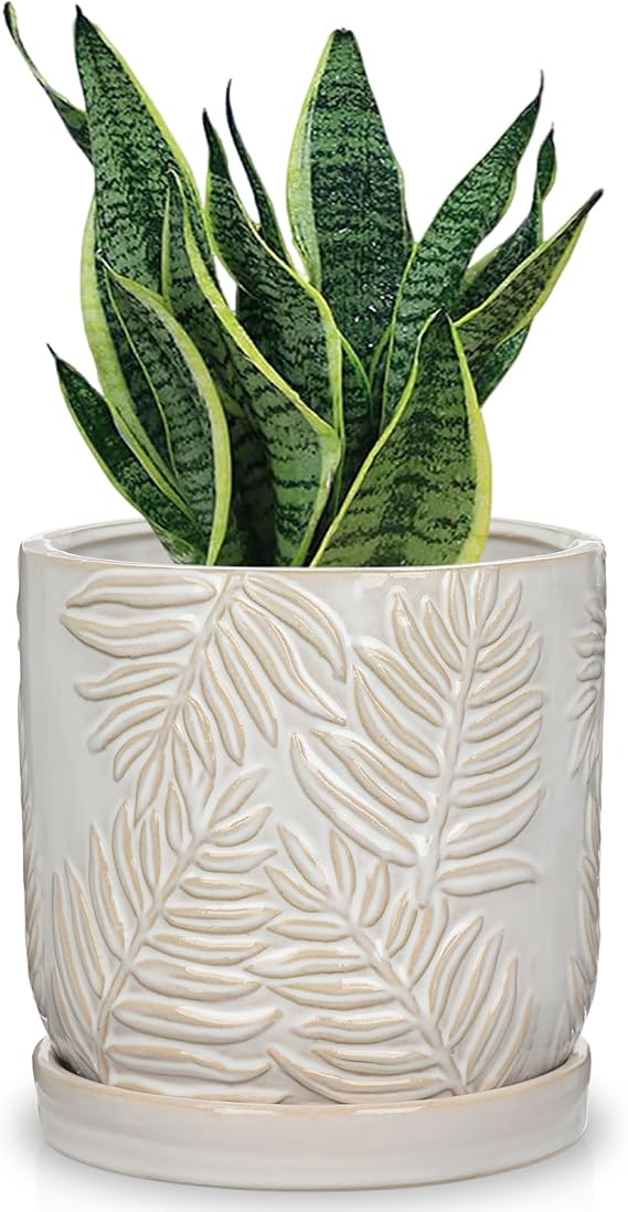 GnFlus 5.5 Inch Ceramic Planter Pots with Drainage Holes, Saucers for Indoor-Outdoor Plants, Succulent Orchid Flower Large Round Plant Pot Lvory White