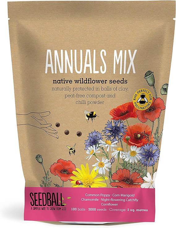 SEEDBALL - Annual Seed Mix, UK Native Wildflower Seeds, Seed Balls of Plants Outdoor Garden Ready, Gardening Gifts for Women, Easy Grow Flower Seeds, 100 Seed Balls