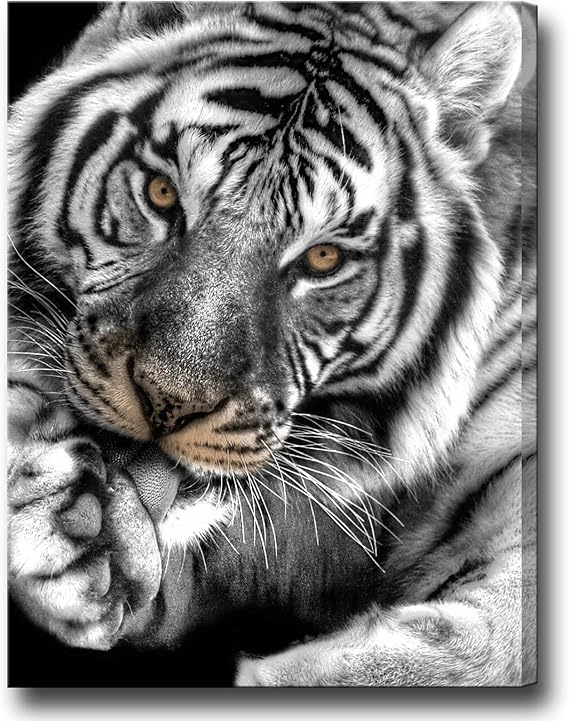 Biuteawal Black White Tiger Wall Art for Living Room Brown Eyed Tiger Painting Prints on Canvas Wild Animal Picture Art Decor Home Office Men Bedroom Modern Decoration Ready to Hang