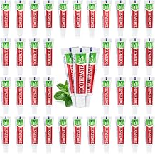 Travel Size Toothpaste in Bulk, Disposable Mini Mint Flavor Toothpaste for Travel Essentials, Compact Pocket Size for Vacation Hotel Shelter Homeless Nursing Home Charity Single Use 5g (60 Tubes)