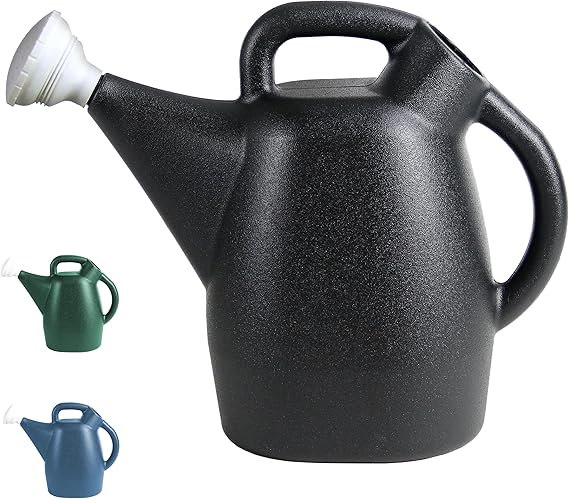 CHAPIN 47998 2-Gallon Watering Can for Indoor & Outdoor Plants