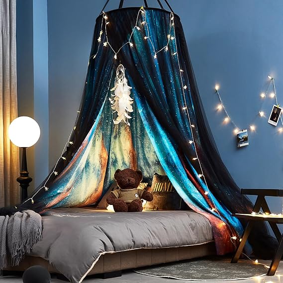 Kertnic Gorgeous Aurora Printed Printed Bed Canopy for Girls & Adults, Room Decorative Cozy Bed Curtain Canopy Drapes, Round Dome Luxurious Lace Princess Canopies Mosquito Netting (Aurora)