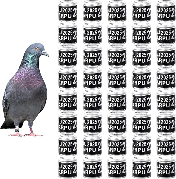 50Pcs Multicolor Aluminium Pigeon Leg Rings with 2025 AU Training Identify Birds Foot Ring Identify 8mm Plastic Bird Leg Bands (Black)