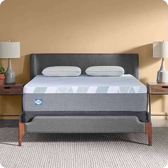 Sealy Dreamlife 12 Foam Mattress-in-a-Box, King, SealyComfort Gel Memory Foam, SealySupport Transition Foam, Surface-Guard Technology