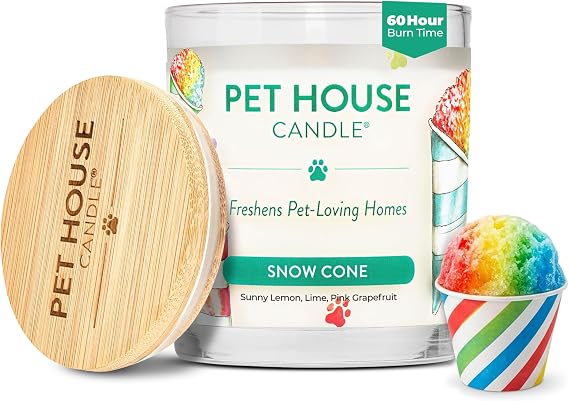 Snow Cone Candle Pet Friendly Plant-Based Wax, Pet House