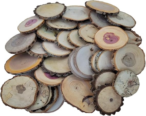 Wood Slice Variety Pack, 3"-4" Cedar, Cherry, Oak, Maple Unfinished Natural Tree Slices, Varying Diameters, Coasters, Ornaments, Rustic Home Decor, Holiday Decor, Qty of 20