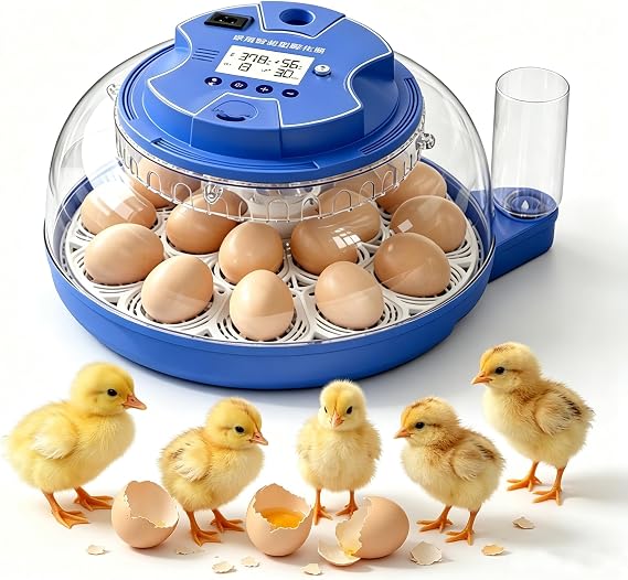Egg Incubators for Hatching Eggs, Auto Egg Turning, Temperature & Humidity Control, External Water Adding, Automatic Digital Egg Incubator