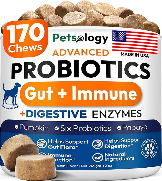 Probiotics for Dogs - 170 Dog Probiotics Chews - Digestive Enzymes Support