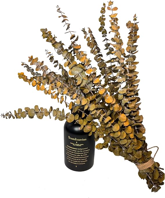 (20Pcs) Dried Eucalyptus Stems - Red, Real Long Eucalyptus, Dried Flowers for Vase, 17" Floral Arrangement, Wedding (Yellow)