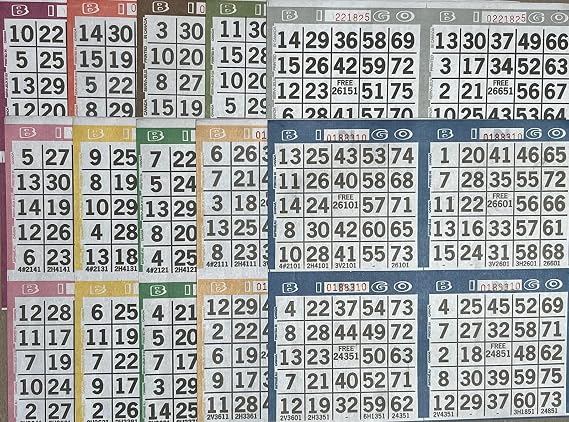 The Ticket Gurus Bingo Paper Game Cards - 4 Cards - 10 Sheets - 50 Books - 8 Inch Square Size