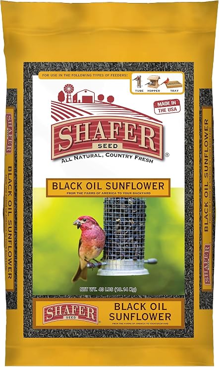 51041 40-Pound Bag, Black Oil Sunflower Wild Bird Food
