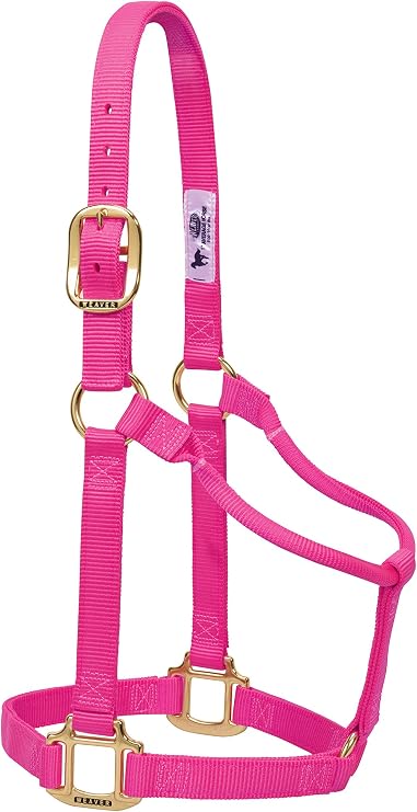Weaver Leather Original Non-Adjustable Nylon Horse Halter, Diva Pink
