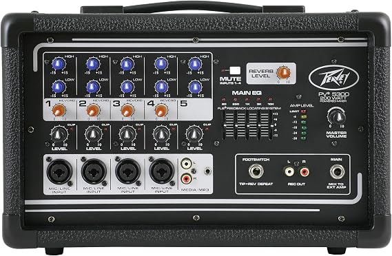 Peavey PV5300 Live Sound Monitor, MultiColored