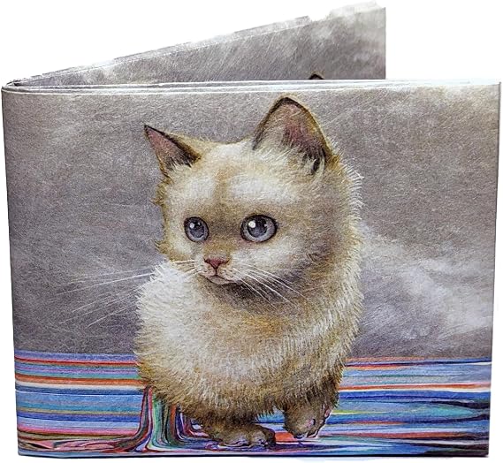 Dynomighty Tyvek Billfold Stitched -