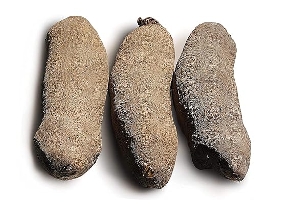 Fresh African Yam Tubers Roots Name 5 Pounds