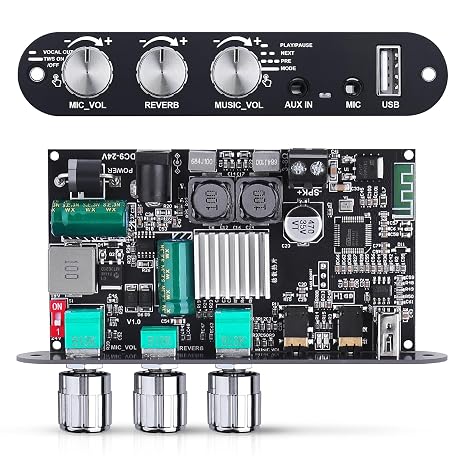 ZK-10001UM Bluetooth 5.3 Amplifier Board, 100W Mono Class D Power Amp with TWS Pairing, USB/AUX Input, Mic/Music Vol, Microphone Reverb Support EQ Adjustment for DIY Speaker (9-24V DC)