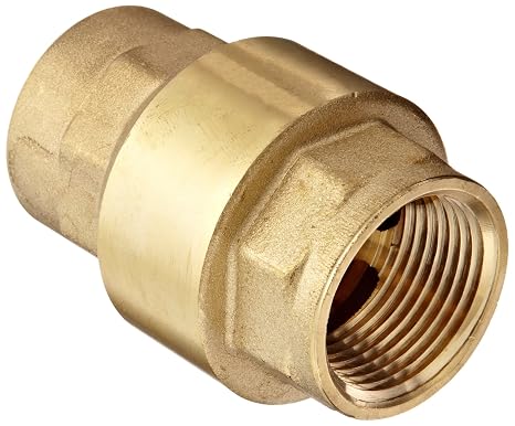 Dixon CV100 Brass Spring-Loaded Check Valve, 1" NPT Female