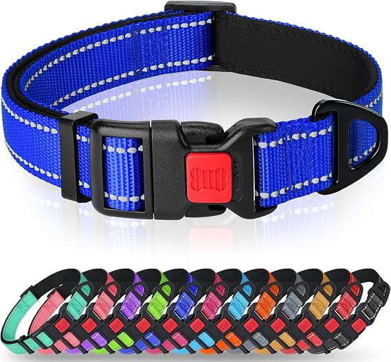 Taglory Reflective Dog Collar for Medium Dogs, Padded Nylon with Buckle | Soft Neoprene Padded Comfort, Night Walking Visibility, Metal D-Ring for Lead, Adjustable Sizing, Everyday Wear