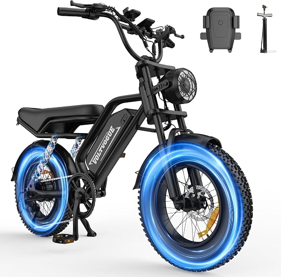 Electric ebike (16)