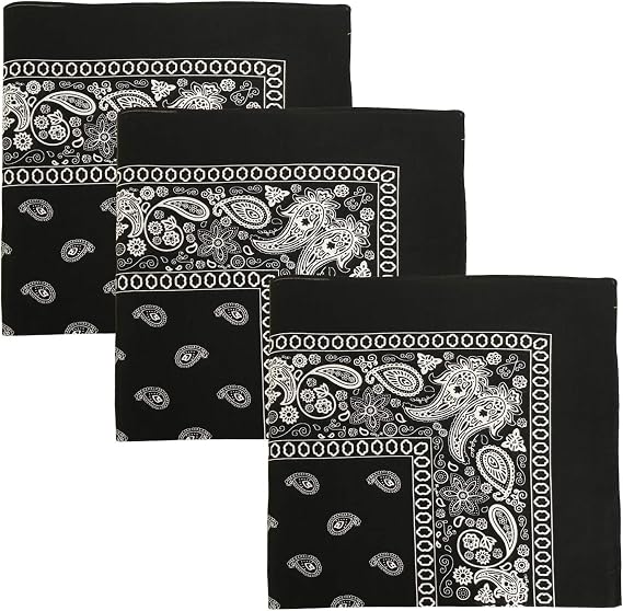 Paisley One Dozen Cowboy Bandanas (