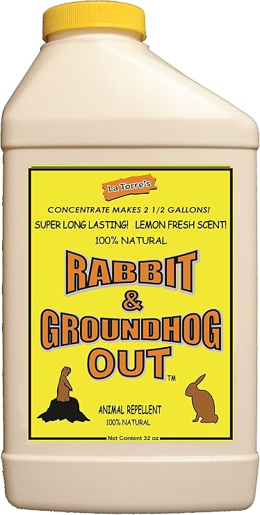Rabbit & Groundhog Repellent: Rabbit Out 32oz Concentrate