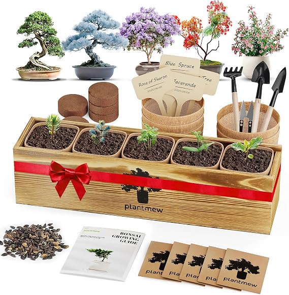 Bonsai Tree Kit for Beginners - 5 Unique Japanese Bonsai Seeds, DIY Indoor Gardening Crafts for Adults | Valentine's, Mother's Day & Birthday Gifts for Women and Men | Complete Starter Kit with Tools