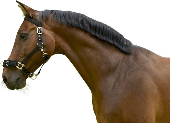 Kerbl Plastic Lunging Halter Black