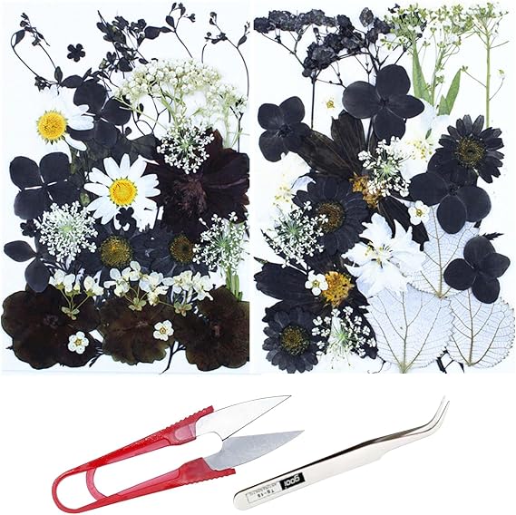 Cayway 2 Pack Dried Pressed Flowers for Resin Molds, Black Real Pressed Flowers Dry Leaves Kit Natural Dried Pressed Leaves for Art Crafts Resin Scrapbook Supplies Soap Candle DIY, Style C