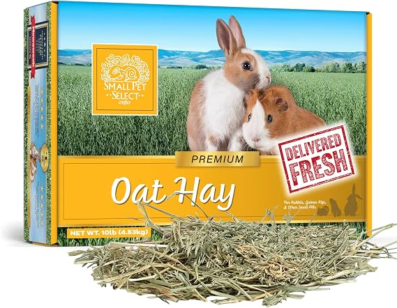 Small Pet Select Oat Hay for Rabbits, Guinea Pigs & Chinchillas, 10 lb