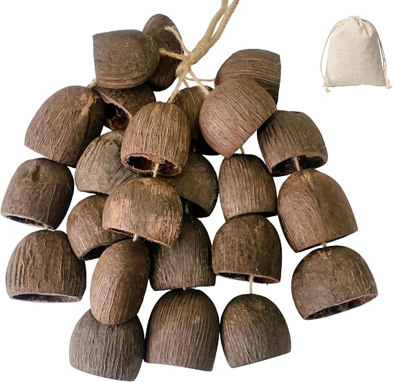 Natural handmade shell rattles for sound bathmeditation&yoga,Seed shaker instrument,24 Salin nut shell shaker 432Hz Sound Healing Instruments,Easy-to-Use
