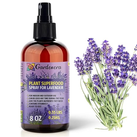 BESTSELLER Plant Superfood for Lavender Plants with B1 Vitamin, Glucose and Essential Minerals - Organic Plant Food Fertilizer for Indoor & Outdoor Lavander Plant Care - 8oz