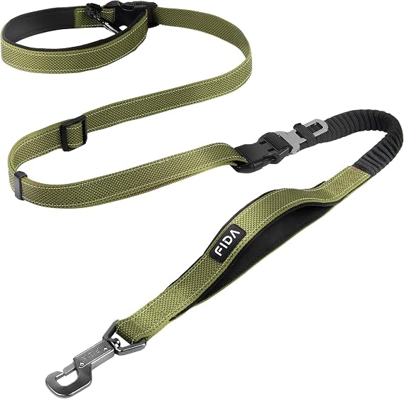 Fida 6-in-1 Hands Free Dog Leash Heavy Duty, Waist Corssbody Dog Leash | Adjustable for Running Hiking, Car Seat Clip, Shock Absorbing Bungee, Dual Padded Detachable Handles, Green