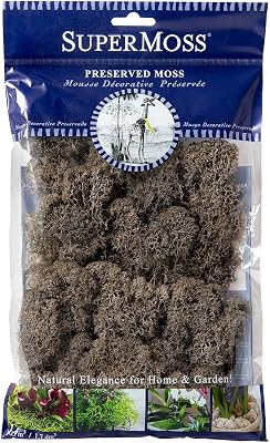 SuperMoss 25165 Reindeer Moss Soft Preserved Moss for Home Decor, Crafts, Terrariums, Floral Design, and Wedding Decorations, 80.75 cu in, Cashmere