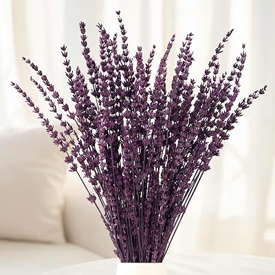 Dried Lavender Flowers, Preserved Purple Lavender Bundle, 15 -17 Natural Dried Flowers Bouquet for Wedding Vase Decor, Home Fragrance, Bathroom, Photo Props, Crafts, 70g 2.5oz