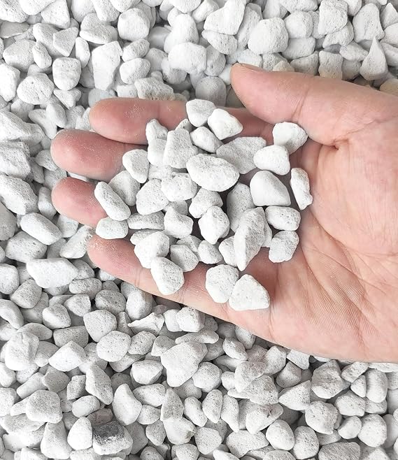50 QT Professional Grade Horticultural Organic Vermiculite and Perlite (Large Size - Perlite, 50 QT)