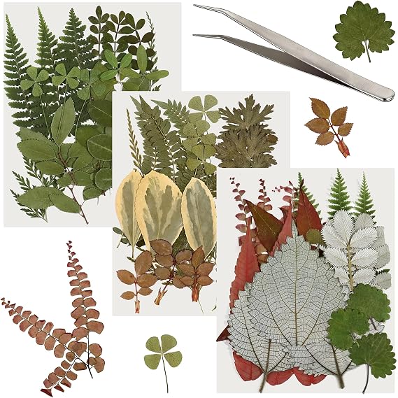 63 Pcs Real Dried Pressed Leaves Assorted Natural Dried Leaf Plant Herbarium Set for DIY Candle Resin Jewelry Soap Vase Nail Phone Case Crafts Making Floral Decors 21 Styles Leaves with Tweezers